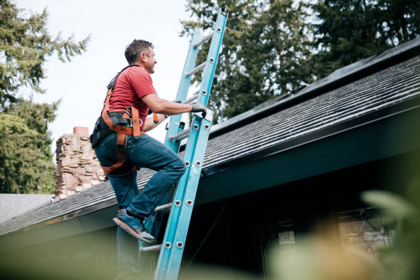 Best Metal Roofing Installation  in Peralta, NM