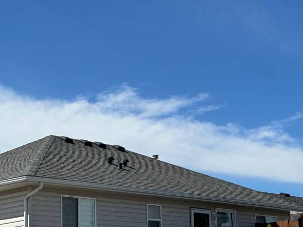 Best Roof Installation  in Peralta, NM